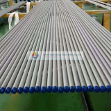 S22253 Seamless Stainless Steel Boiler Pipe